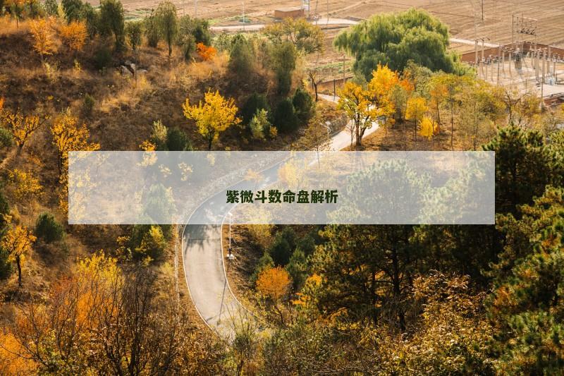 紫微斗数命盘解析