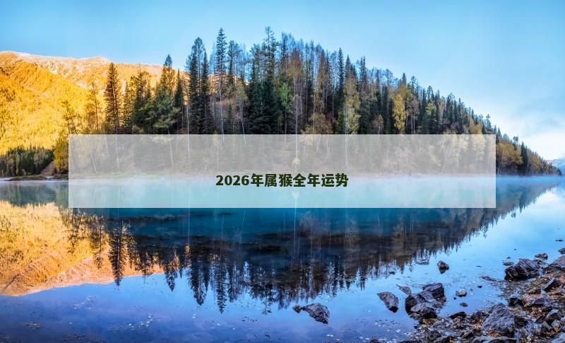 2026年属猴全年运势