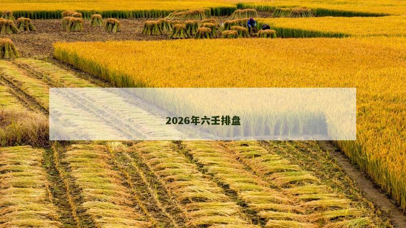 2026年六壬排盘
