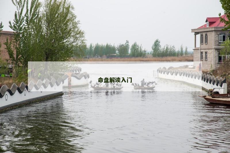 命盘解读入门