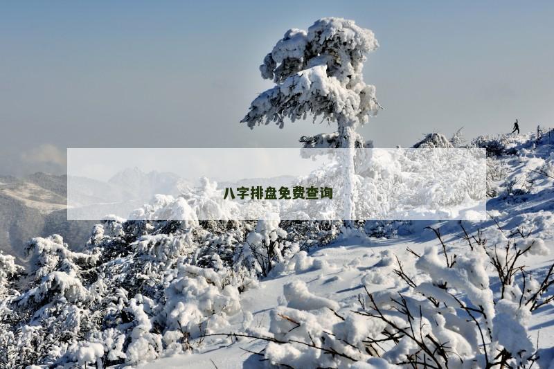 八字排盘免费查询