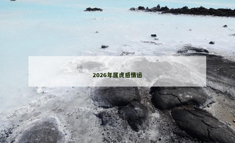 2026年属虎感情运