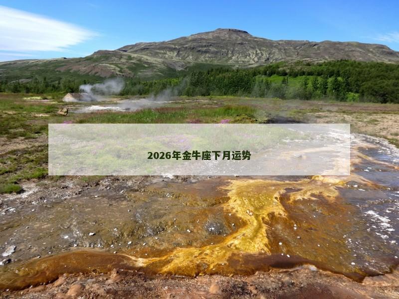 2026年金牛座下月运势