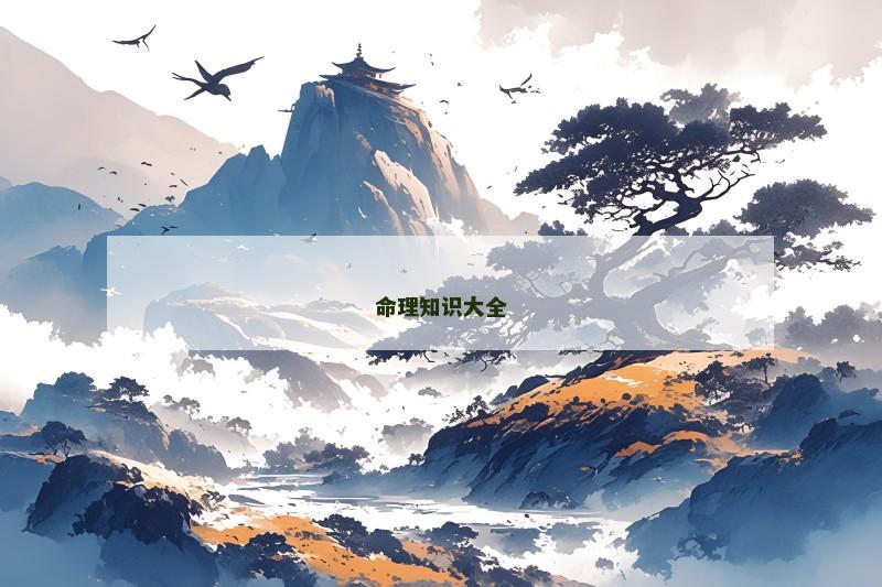 命理知识大全