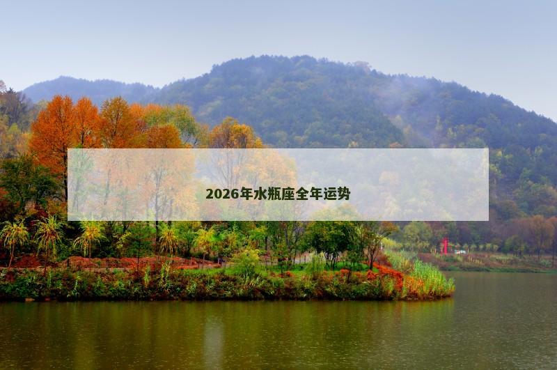 2026年水瓶座全年运势